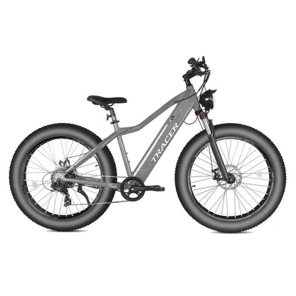 Full Suspension E bike