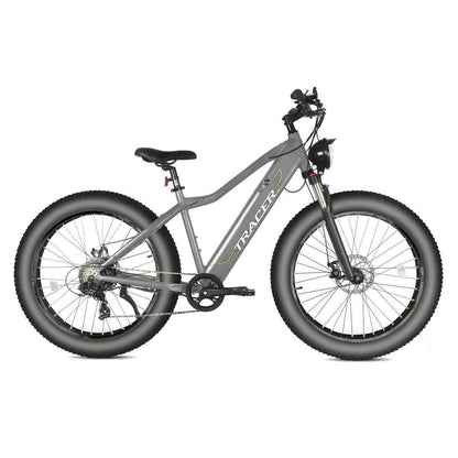 Full Suspension E bike