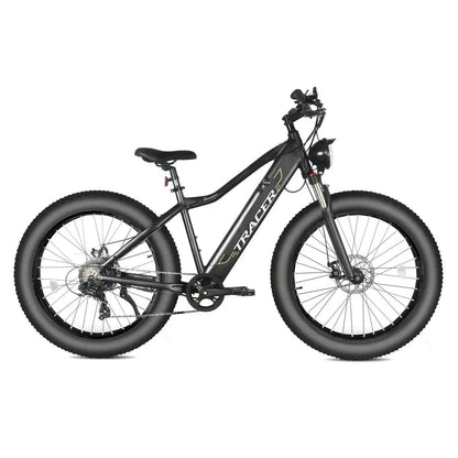 Full Suspension E bike