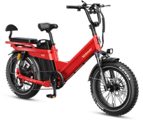 TESWAY X5 PRO Step Thru Cargo E-Bike | Family Friendly