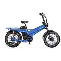TESWAY X7 AWD  | 3000W  Dual Motor | 200NM Torque