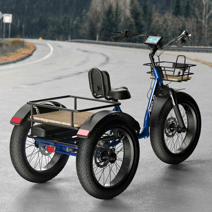 E bike