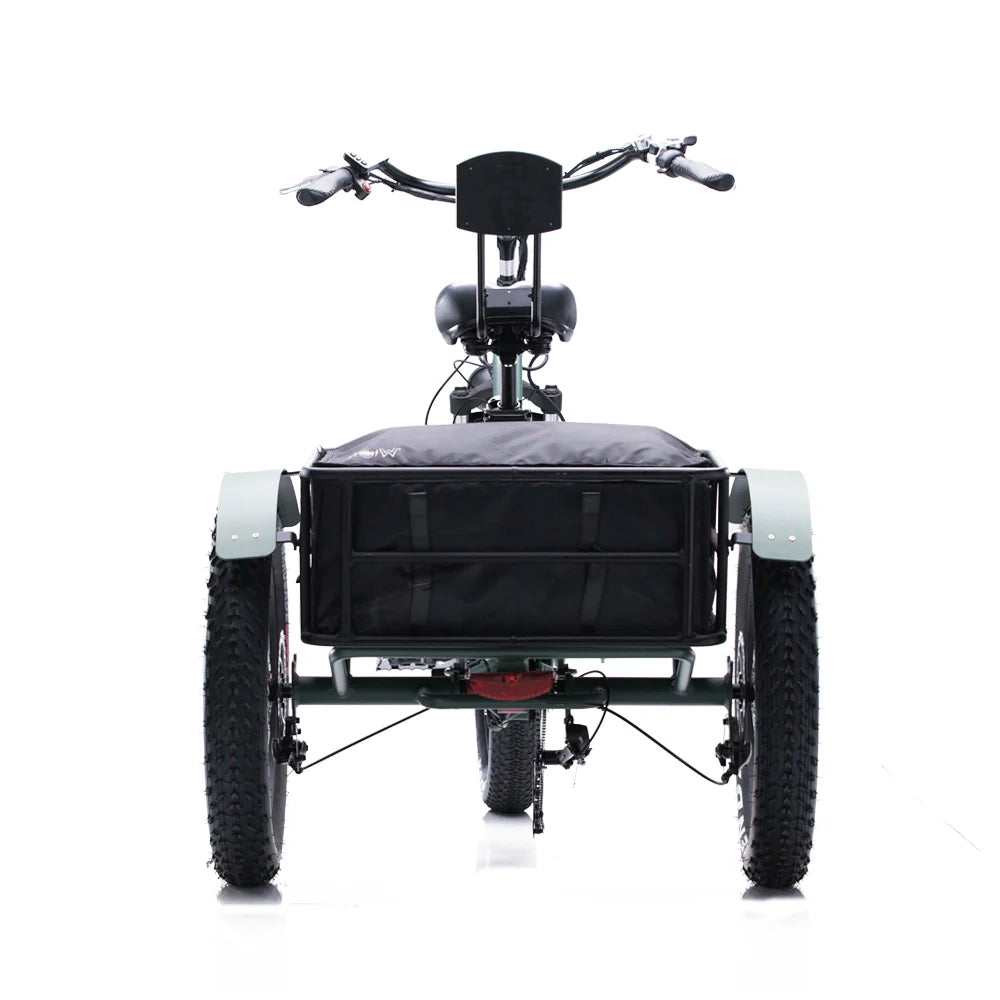 OH WOW CONDUCTOR 750 Electric Cargo Trike | 750W Utility E-Trike Revolution