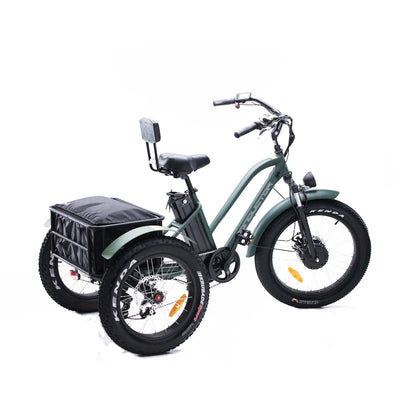 OH WOW CONDUCTOR 750 Electric Cargo Trike | 750W Utility E-Trike Revolution