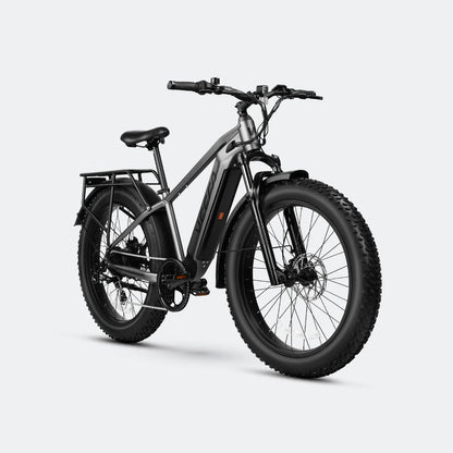 VEEFA E1 26'' Step-Over Fat Tire Electric bike