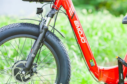 EMOJO BISON PRO Electric Trike/Tricycle