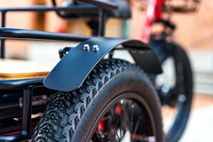 EMOJO BISON PRO Electric Trike/Tricycle