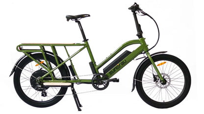 Electric Cargo Bike