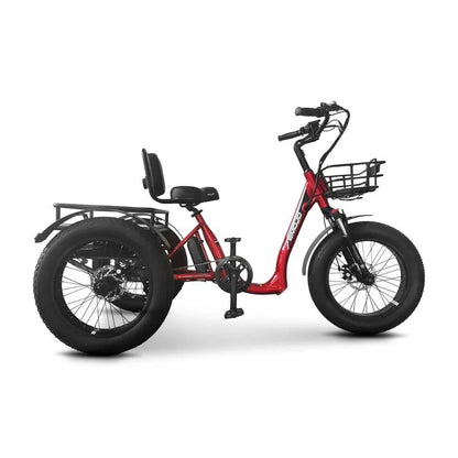 E bike