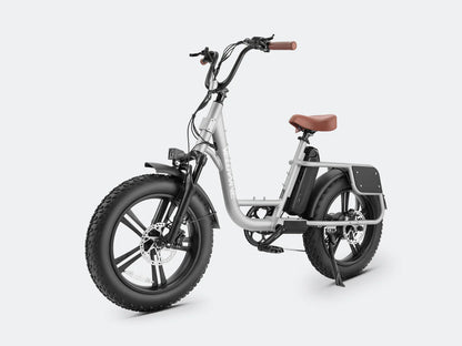 E bike
