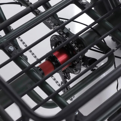 OH WOW CONDUCTOR 750 Electric Cargo Trike | 750W Utility E-Trike Revolution