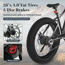 Full Suspension E bike