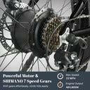 Full Suspension E bike