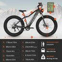 Full Suspension E bike