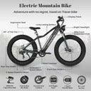 Full Suspension E bike